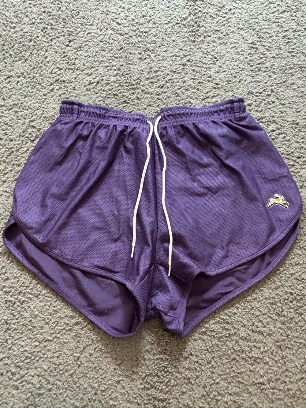 Tracksmith Purple Mesh Athletic Shorts with White Drawstring. Size Small.